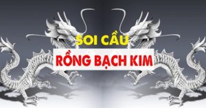 Tìm hiểu Soi Cầu Rồng Bạch Kim là gì?